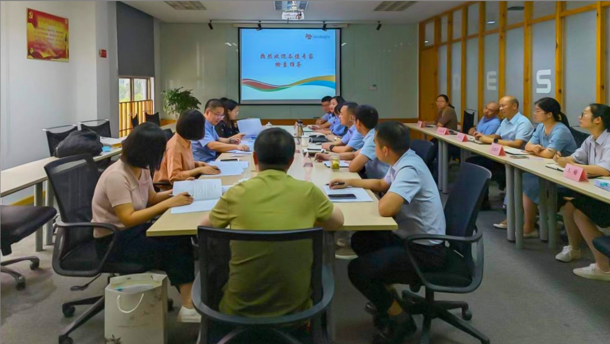 华亿在线顺利通过舒更注册现场核查与小针GMP符合性二合一检查